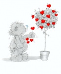 l'arbre d'amour
